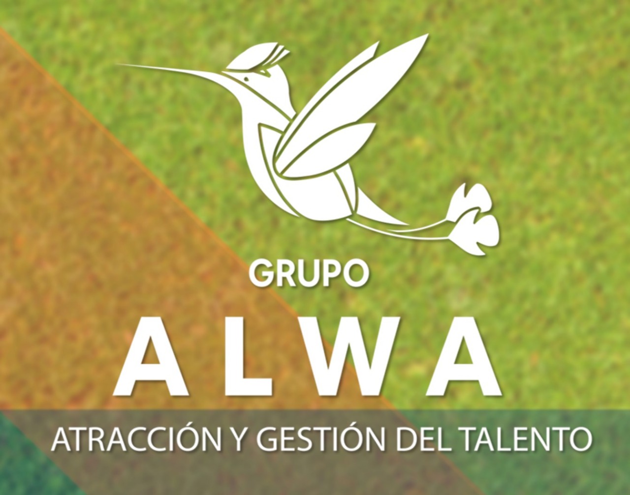 grupoalwaalwatalentomysac
